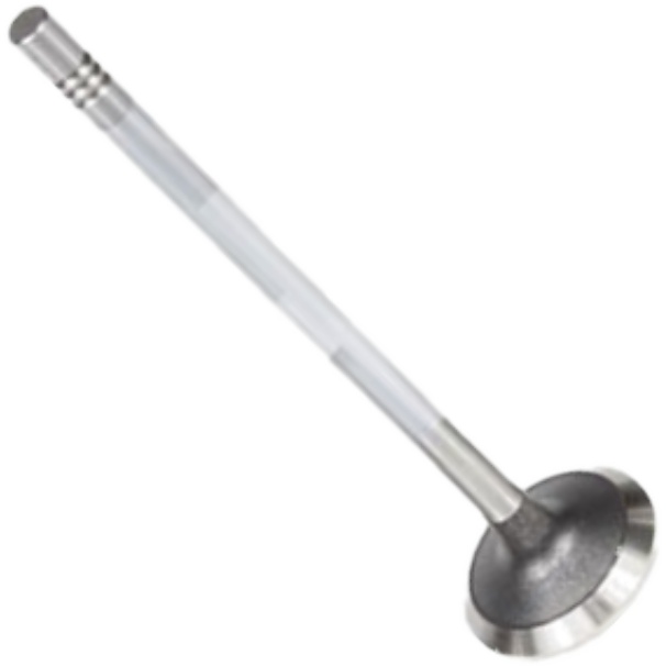 Válvula de Escape - Mahle Metal Leve - VE0011616 STD