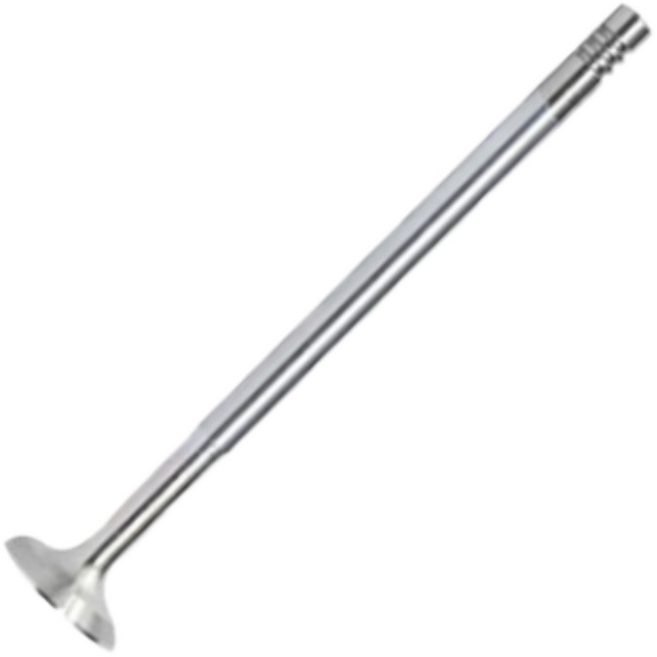 Válvula de Escape - Mahle Metal Leve - VE0140025 STD