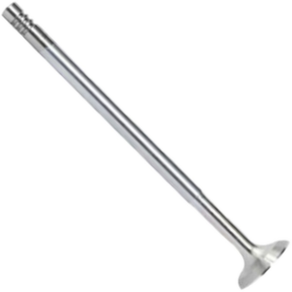 Válvula de Escape - Mahle Metal Leve - VE0140025 STD