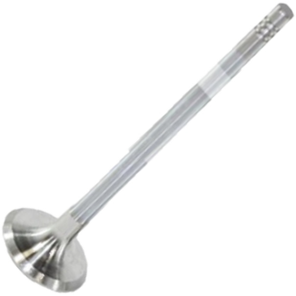Válvula de Escape - Mahle Metal Leve - VE0140075 STD