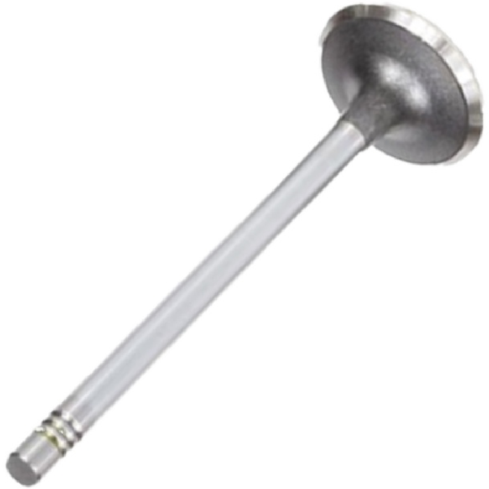 Válvula de Escape para Chevrolet Captiva e Malibu - Mahle Metal Leve - VE0141574 STD