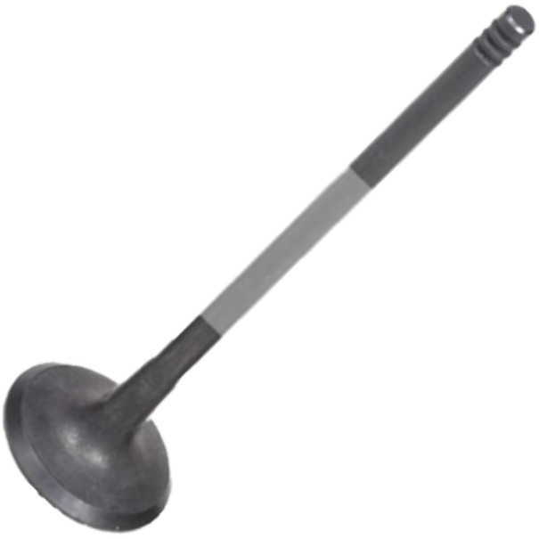 Válvula de Escape - Mahle Metal Leve - VE0141580 STD