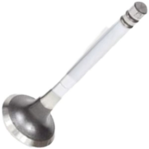 Válvula de Escape para Renault R19 - Mahle Metal Leve - VE0180305 STD