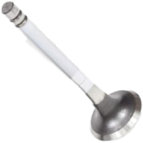 Válvula de Escape para Renault R19 - Mahle Metal Leve - VE0180305 STD