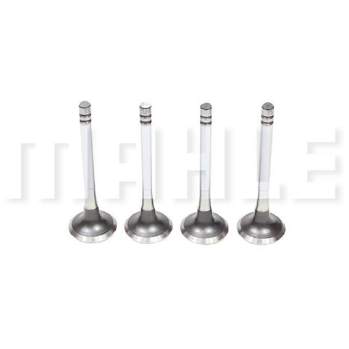Kit 4 Válvula de Escape para Renault R19 - Mahle Metal Leve - VE0180305 STD
