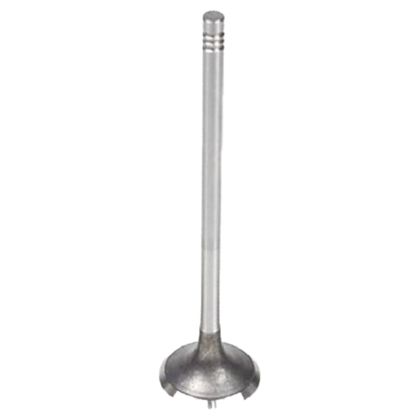 Válvula de Escape para Renault Master - Mahle Metal Leve - VE0181484 STD
