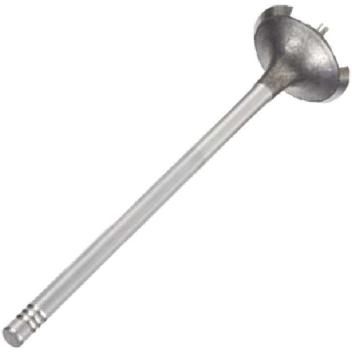Válvula de Escape para Renault Master - Mahle Metal Leve - VE0181484 STD