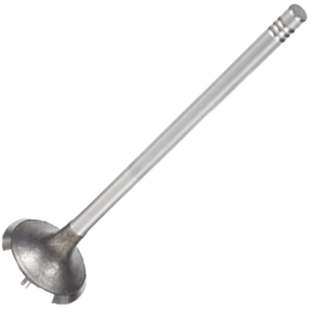 Válvula de Escape para Renault Master - Mahle Metal Leve - VE0181484 STD
