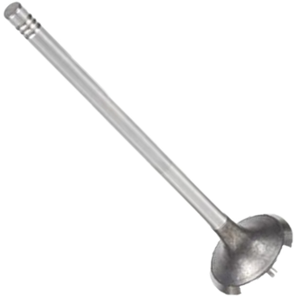 Válvula de Escape para Renault Master - Mahle Metal Leve - VE0181484 STD