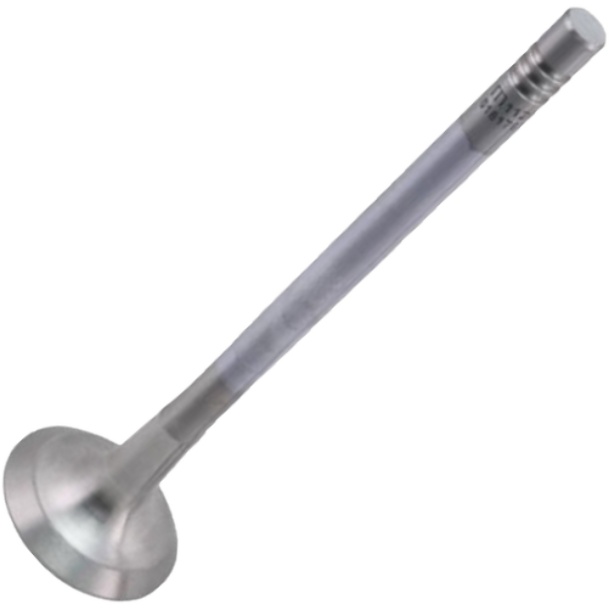 Válvula de Escape para Renault Master - Mahle Metal Leve - VE0181767 STD