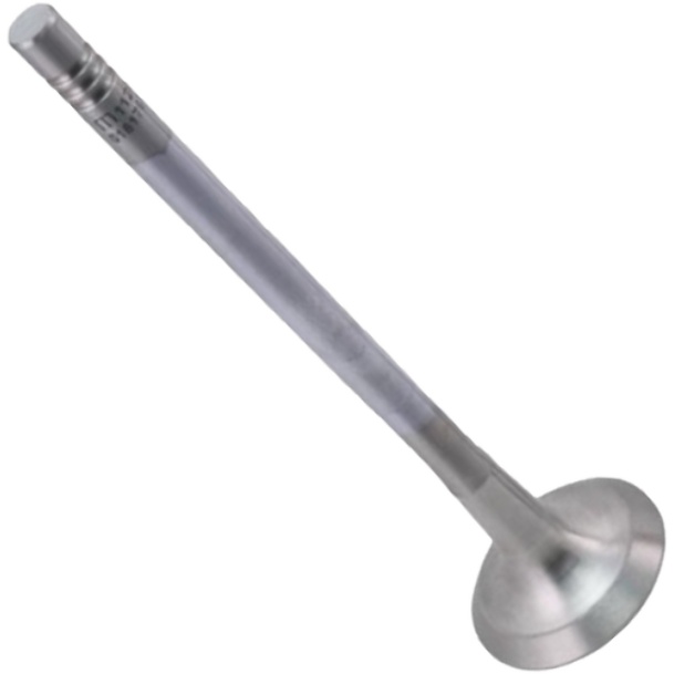 Válvula de Escape para Renault Master - Mahle Metal Leve - VE0181767 STD