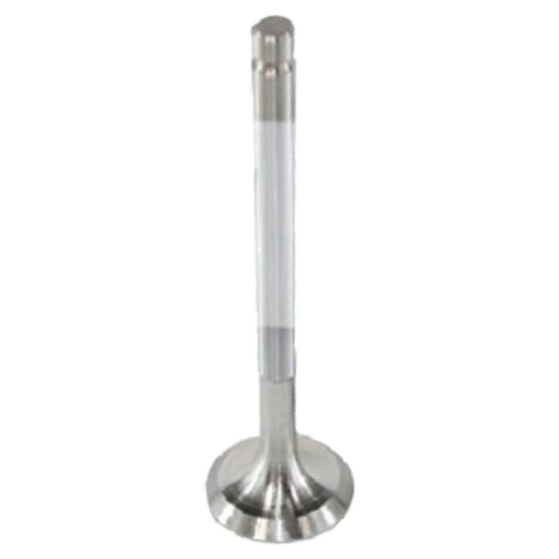Válvula de Escape - Mahle Metal Leve - VE0250019 STD