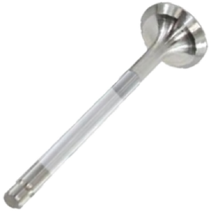 Válvula de Escape - Mahle Metal Leve - VE0250019 STD