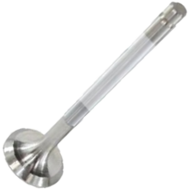 Válvula de Escape - Mahle Metal Leve - VE0250019 STD