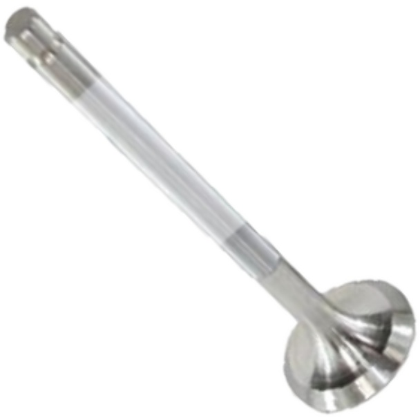 Válvula de Escape - Mahle Metal Leve - VE0250019 STD