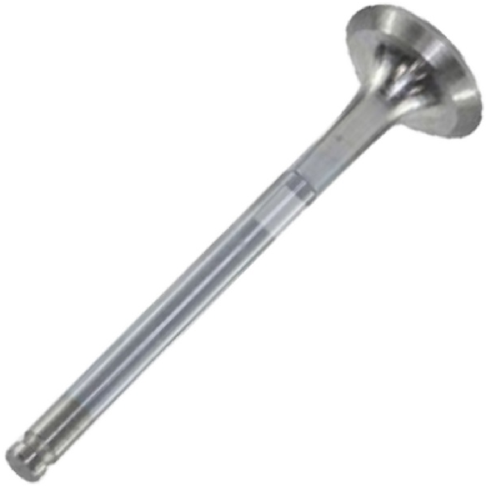 Válvula de Escape - Mahle Metal Leve - VE0250053 STD
