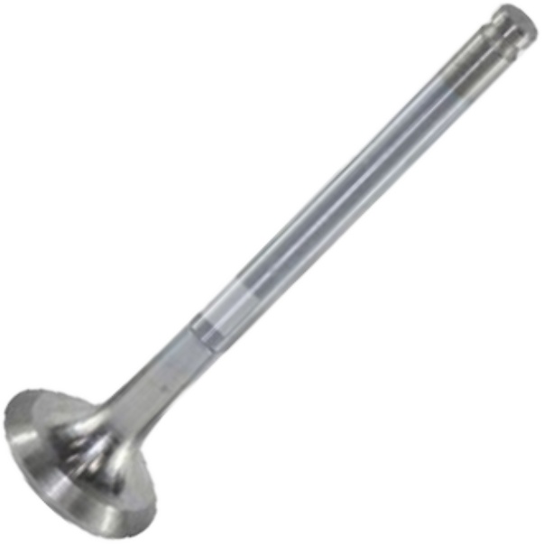 Válvula de Escape - Mahle Metal Leve - VE0250053 STD