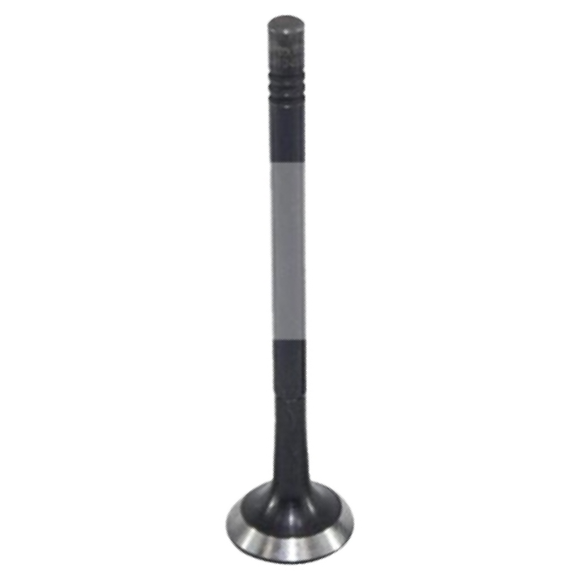 Válvula de Escape - Mahle Metal Leve - VE0250163 STD