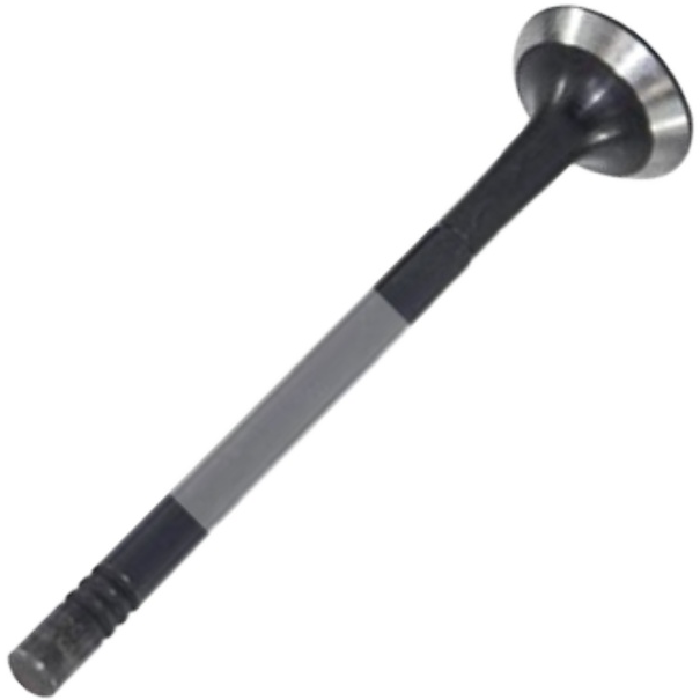 Válvula de Escape - Mahle Metal Leve - VE0250163 STD