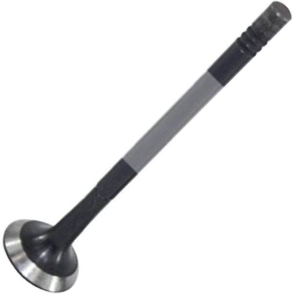 Válvula de Escape - Mahle Metal Leve - VE0250163 STD