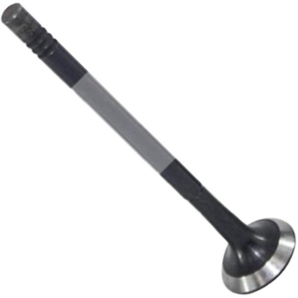 Válvula de Escape - Mahle Metal Leve - VE0250163 STD