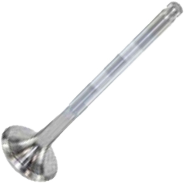 Válvula de Escape - Mahle Metal Leve - VE0250164 STD