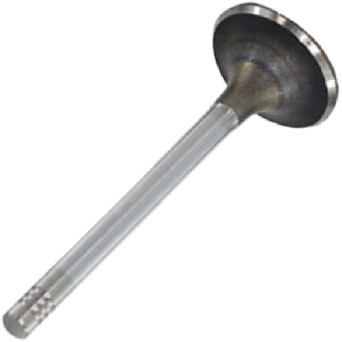 Válvula de Escape - Mahle Metal Leve - VE0250167 STD