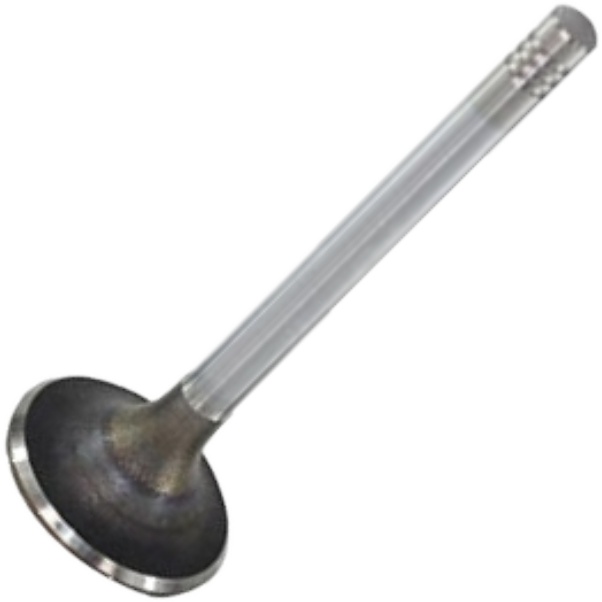 Válvula de Escape - Mahle Metal Leve - VE0250167 STD