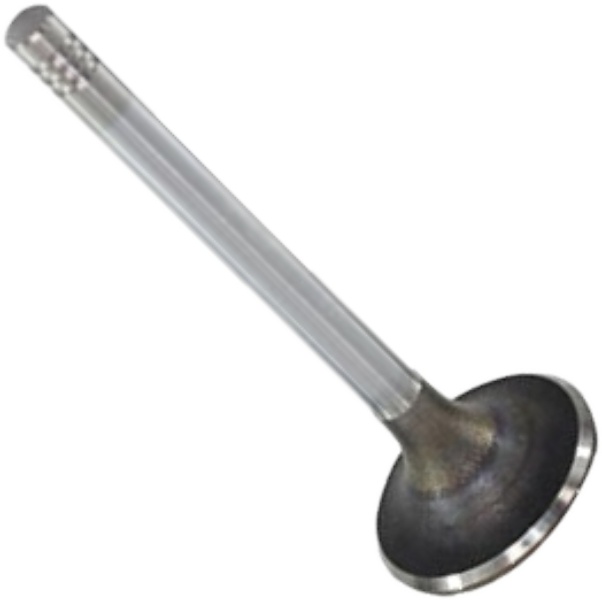 Válvula de Escape - Mahle Metal Leve - VE0250167 STD