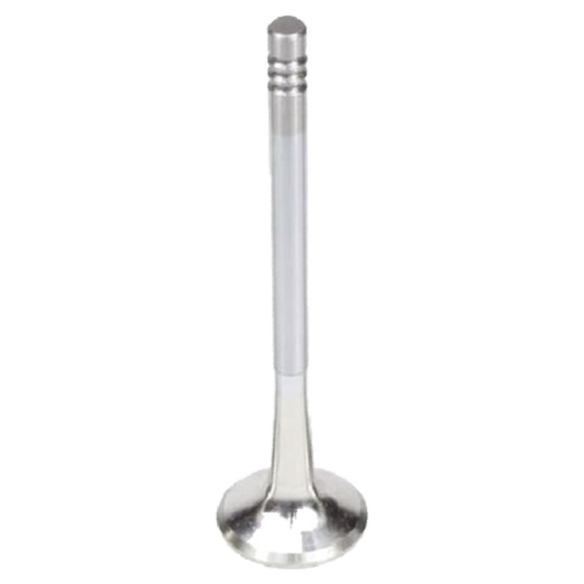 Válvula de Escape - Mahle Metal Leve - VE0250169 STD