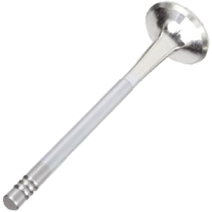 Válvula de Escape - Mahle Metal Leve - VE0250169 STD