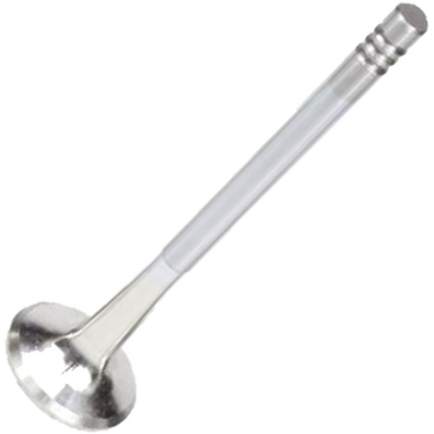 Válvula de Escape - Mahle Metal Leve - VE0250169 STD