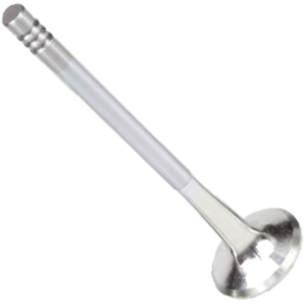 Válvula de Escape - Mahle Metal Leve - VE0250169 STD