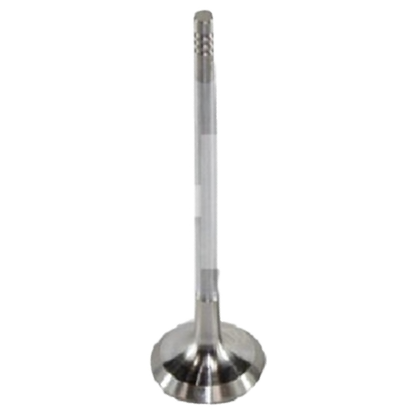 Válvula de Escape - Mahle Metal Leve - VE0250272 STD