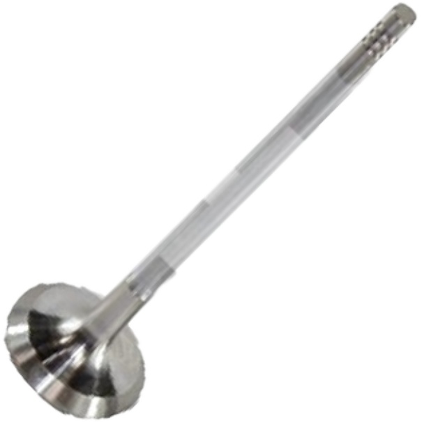 Válvula de Escape - Mahle Metal Leve - VE0250272 STD