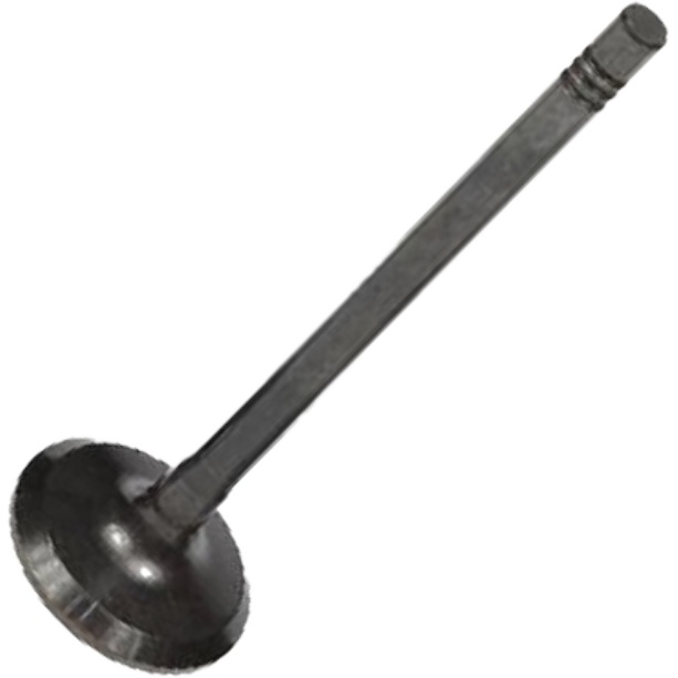 Válvula de Escape - Mahle Metal Leve - VE0251615 STD