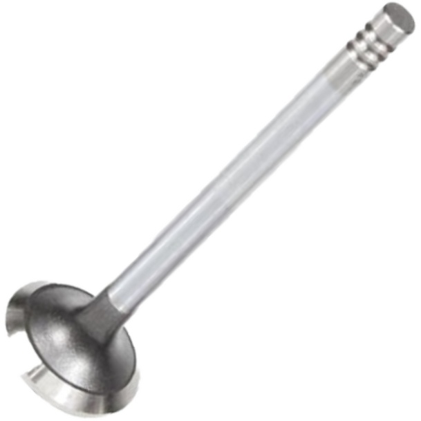 Válvula de Escape para Citroen Xantia e Peugeot 306 - Mahle Metal Leve - VE0440301 STD