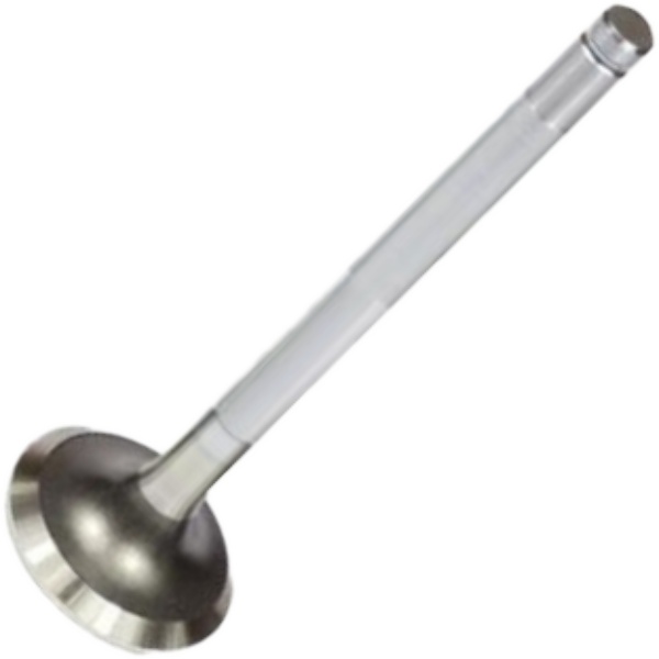 Válvula de Escape para Peugeot 504 - Mahle Metal Leve - VE0440581 STD