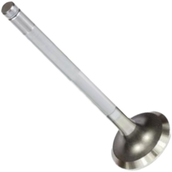 Válvula de Escape para Peugeot 504 - Mahle Metal Leve - VE0440581 STD