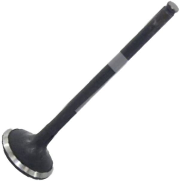 Válvula de Escape - Mahle Metal Leve - VE0510129 STD