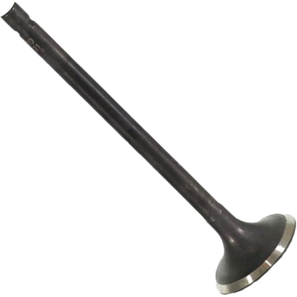 Válvula de Escape para Honda XL 250R - Mahle Metal Leve - VE0510131 STD