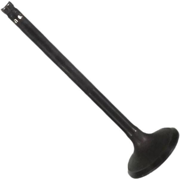 Válvula de Escape - Mahle Metal Leve - VE0511635 STD