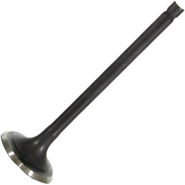 Válvula de Escape - Mahle Metal Leve - VE0521671 STD