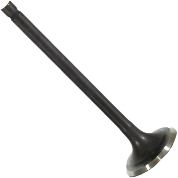 Válvula de Escape - Mahle Metal Leve - VE0521671 STD