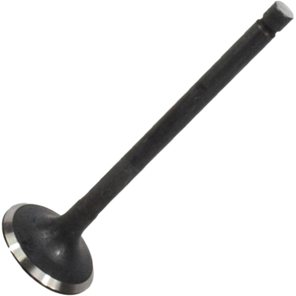 Válvula de Escape - Mahle Metal Leve - VE0521674 STD