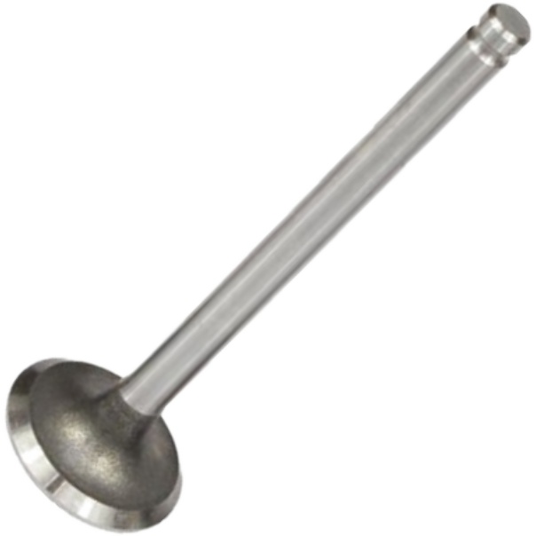 Válvula de Escape - Mahle Metal Leve - VE0570036 STD