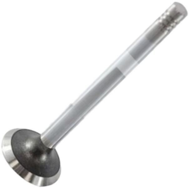 Válvula de Escape - Mahle Metal Leve - VE0570037 STD