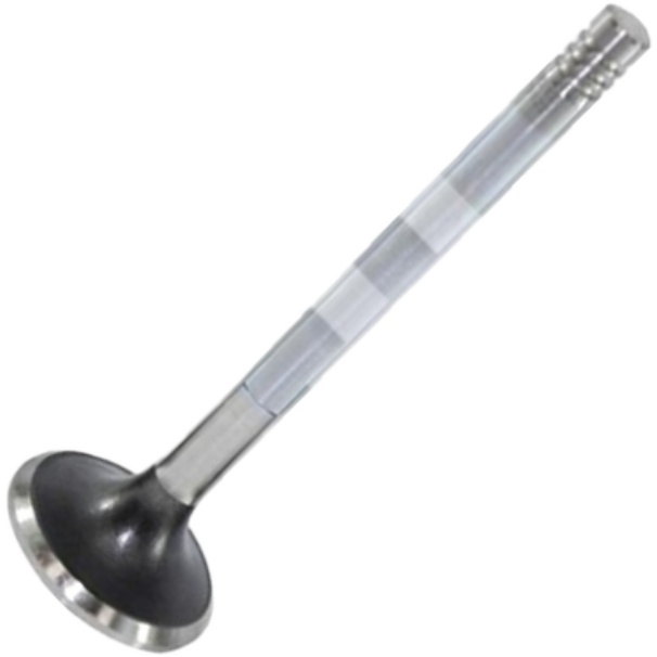 Válvula de Escape - Mahle Metal Leve - VE0570122 STD