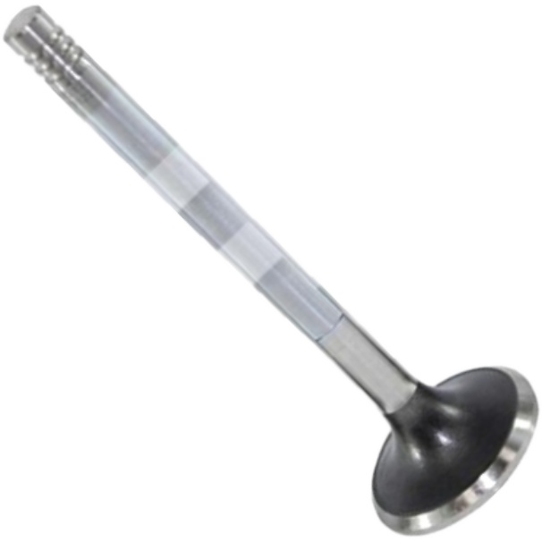 Válvula de Escape - Mahle Metal Leve - VE0570122 STD