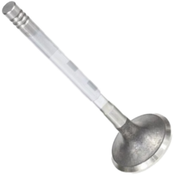 Kit 4 Válvula de Escape - Mahle Metal Leve - VE0570230 STD